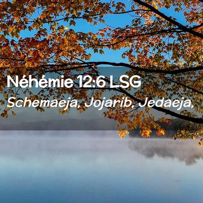Picture 02 - Néhémie 12:6 LSG - Schemaeja, Jojarib, - Bible Verse Picture