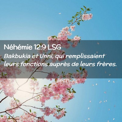 Picture 02 - Néhémie 12:9 LSG - Bakbukia et Unni, qui remplissaient leurs - Bible Verse Picture