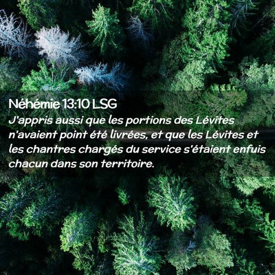 Picture 02 - Néhémie 13:10 LSG - J'appris aussi que les portions des Lévites - Bible Verse Picture