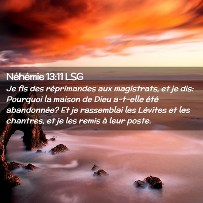 Picture 02 - Néhémie 13:11 LSG - Je fis des réprimandes aux magistrats, et je - Bible Verse Picture