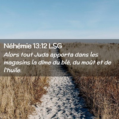 Picture 02 - Néhémie 13:12 LSG - Alors tout Juda apporta dans les magasins la - Bible Verse Picture