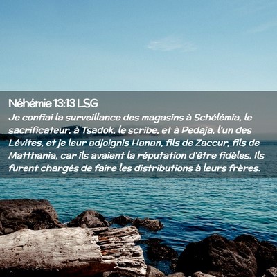 Picture 02 - Néhémie 13:13 LSG - Je confiai la surveillance des magasins à - Bible Verse Picture