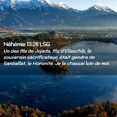 Picture 02 - Néhémie 13:28 LSG - Un des fils de Jojada, fils d'Eliaschib, le - Bible Verse Picture