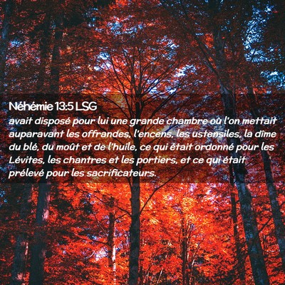 Picture 02 - Néhémie 13:5 LSG - avait disposé pour lui une grande chambre où - Bible Verse Picture