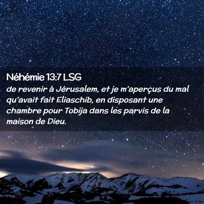 Picture 02 - Néhémie 13:7 LSG - de revenir à Jérusalem, et je m'aperçus du mal - Bible Verse Picture