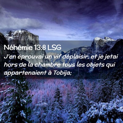 Picture 02 - Néhémie 13:8 LSG - J'en éprouvai un vif déplaisir, et je jetai - Bible Verse Picture