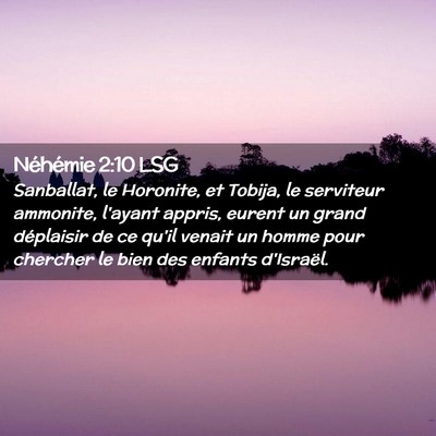 Picture 02 - Néhémie 2:10 LSG - Sanballat, le Horonite, et Tobija, le serviteur - Bible Verse Picture
