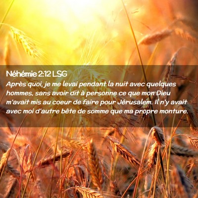 Picture 02 - Néhémie 2:12 LSG - Après quoi, je me levai pendant la nuit avec - Bible Verse Picture