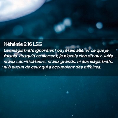 Picture 02 - Néhémie 2:16 LSG - Les magistrats ignoraient où j'étais allé, et - Bible Verse Picture