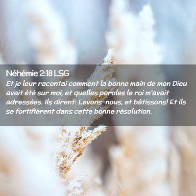 Picture 02 - Néhémie 2:18 LSG - Et je leur racontai comment la bonne main de mon - Bible Verse Picture