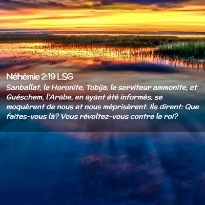 Picture 02 - Néhémie 2:19 LSG - Sanballat, le Horonite, Tobija, le serviteur - Bible Verse Picture