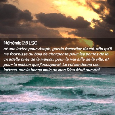 Picture 02 - Néhémie 2:8 LSG - et une lettre pour Asaph, garde forestier du roi, - Bible Verse Picture