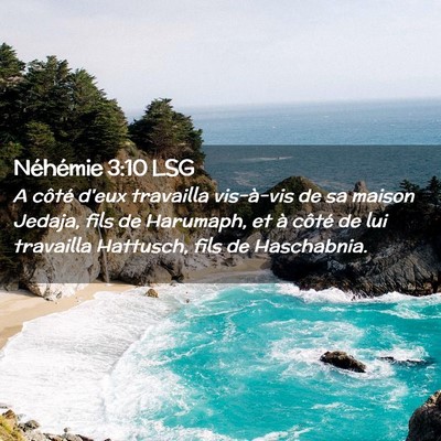 Picture 02 - Néhémie 3:10 LSG - A côté d'eux travailla vis-à-vis de sa maison - Bible Verse Picture