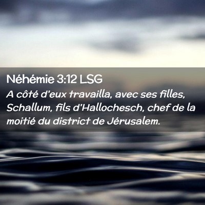 Picture 02 - Néhémie 3:12 LSG - A côté d'eux travailla, avec ses filles, - Bible Verse Picture