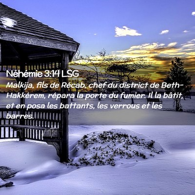 Picture 02 - Néhémie 3:14 LSG - Malkija, fils de Récab, chef du district de - Bible Verse Picture