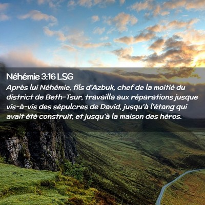 Picture 02 - Néhémie 3:16 LSG - Après lui Néhémie, fils d'Azbuk, chef de la - Bible Verse Picture
