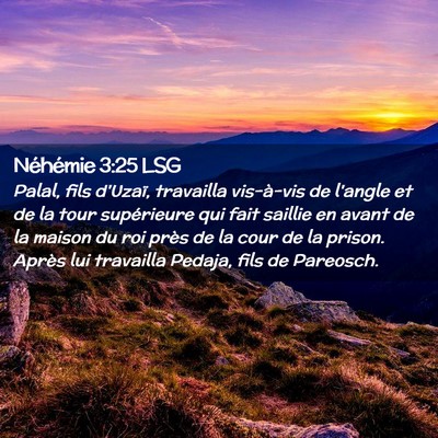 Picture 02 - Néhémie 3:25 LSG - Palal, fils d'Uzaï, travailla vis-à-vis de - Bible Verse Picture