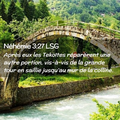 Picture 02 - Néhémie 3:27 LSG - Après eux les Tekoïtes réparèrent une autre - Bible Verse Picture