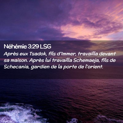 Picture 02 - Néhémie 3:29 LSG - Après eux Tsadok, fils d'Immer, travailla devant - Bible Verse Picture