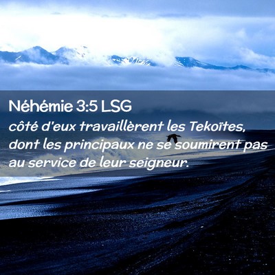Picture 02 - Néhémie 3:5 LSG - côté d'eux travaillèrent les Tekoïtes, dont - Bible Verse Picture