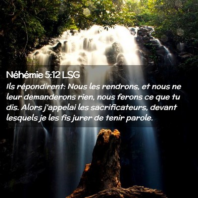 Picture 02 - Néhémie 5:12 LSG - Ils répondirent: Nous les rendrons, et nous ne - Bible Verse Picture
