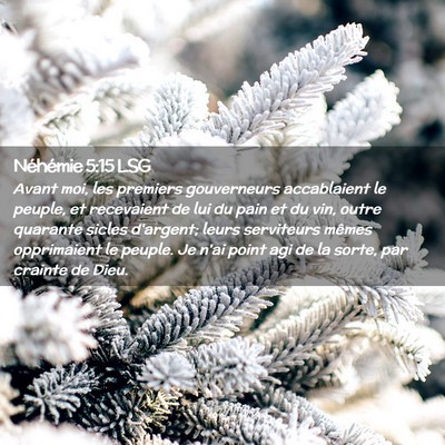 Picture 02 - Néhémie 5:15 LSG - Avant moi, les premiers gouverneurs accablaient - Bible Verse Picture