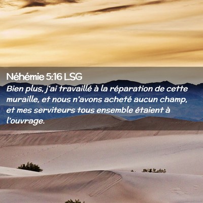 Picture 02 - Néhémie 5:16 LSG - Bien plus, j'ai travaillé à la réparation de - Bible Verse Picture