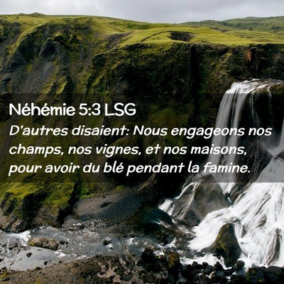 Picture 02 - Néhémie 5:3 LSG - D'autres disaient: Nous engageons nos champs, nos - Bible Verse Picture