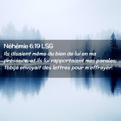 Picture 02 - Néhémie 6:19 LSG - Ils disaient même du bien de lui en ma - Bible Verse Picture
