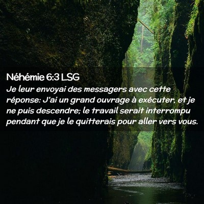 Picture 02 - Néhémie 6:3 LSG - Je leur envoyai des messagers avec cette - Bible Verse Picture