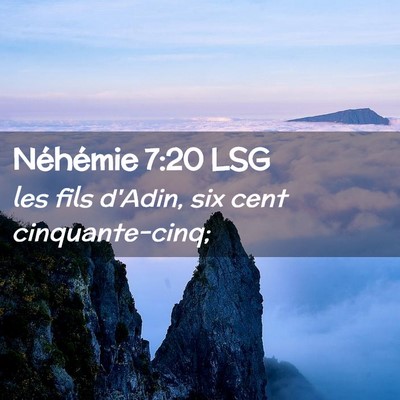 Picture 02 - Néhémie 7:20 LSG - les fils d'Adin, six cent - Bible Verse Picture