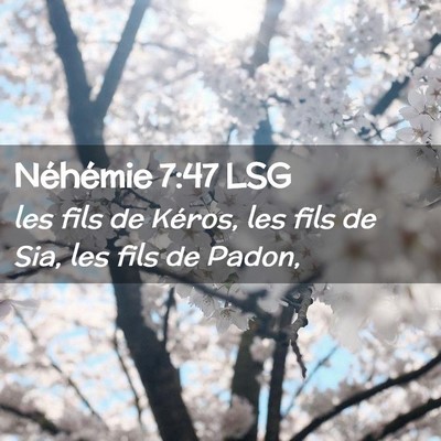 Picture 02 - Néhémie 7:47 LSG - les fils de Kéros, les fils de Sia, les fils de - Bible Verse Picture