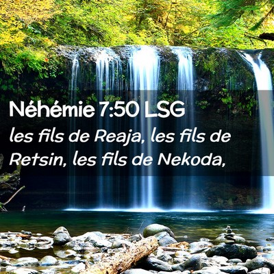 Picture 02 - Néhémie 7:50 LSG - les fils de Reaja, les fils de Retsin, les fils - Bible Verse Picture