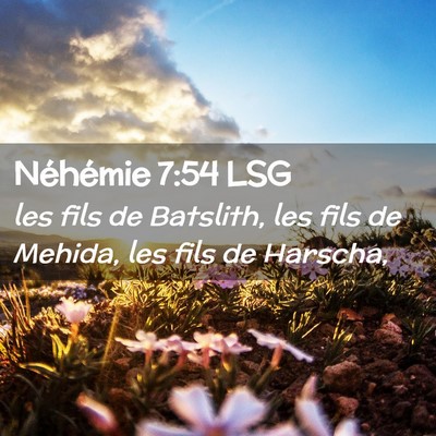 Picture 02 - Néhémie 7:54 LSG - les fils de Batslith, les fils de Mehida, les - Bible Verse Picture