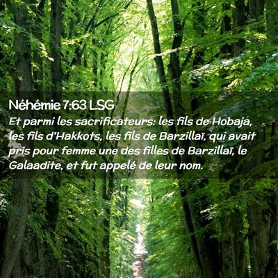 Picture 02 - Néhémie 7:63 LSG - Et parmi les sacrificateurs: les fils de Hobaja, - Bible Verse Picture