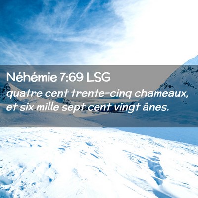 Picture 02 - Néhémie 7:69 LSG - quatre cent trente-cinq chameaux, et six mille - Bible Verse Picture