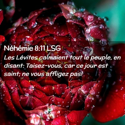 Picture 02 - Néhémie 8:11 LSG - Les Lévites calmaient tout le peuple, en disant: - Bible Verse Picture