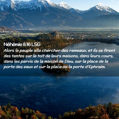 Picture 02 - Néhémie 8:16 LSG - Alors le peuple alla chercher des rameaux, et ils - Bible Verse Picture