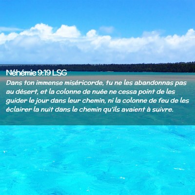 Picture 02 - Néhémie 9:19 LSG - Dans ton immense miséricorde, tu ne les - Bible Verse Picture