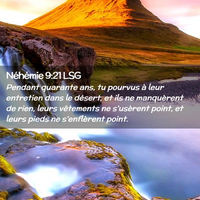 Picture 02 - Néhémie 9:21 LSG - Pendant quarante ans, tu pourvus à leur - Bible Verse Picture