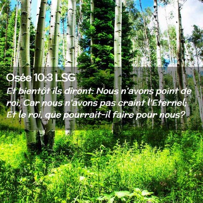 Picture 02 - Osée 10:3 LSG - Et bientôt ils diront: Nous n'avons point de - Bible Verse Picture