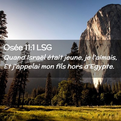Picture 02 - Osée 11:1 LSG - Quand Israël était jeune, je l'aimais, Et - Bible Verse Picture