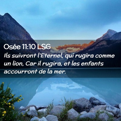 Picture 02 - Osée 11:10 LSG - Ils suivront l'Eternel, qui rugira comme un lion, - Bible Verse Picture