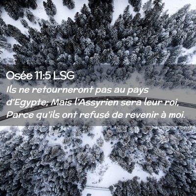 Picture 02 - Osée 11:5 LSG - Ils ne retourneront pas au pays d'Egypte; Mais - Bible Verse Picture