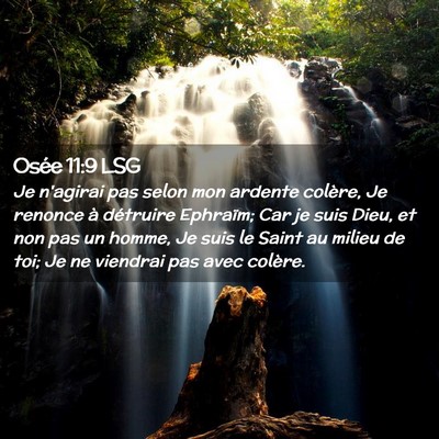 Picture 02 - Osée 11:9 LSG - Je n'agirai pas selon mon ardente colère, Je - Bible Verse Picture
