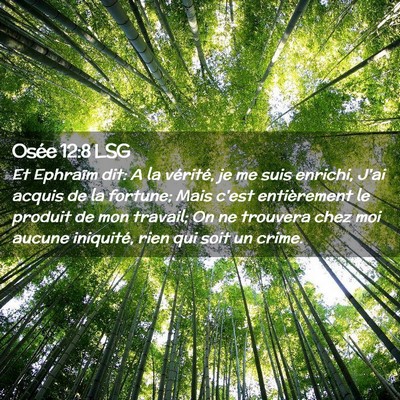 Picture 02 - Osée 12:8 LSG - Et Ephraïm dit: A la vérité, je me suis - Bible Verse Picture