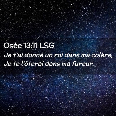 Picture 02 - Osée 13:11 LSG - Je t'ai donné un roi dans ma colère, Je te - Bible Verse Picture