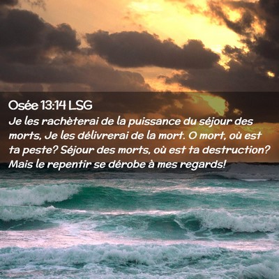 Picture 02 - Osée 13:14 LSG - Je les rachèterai de la puissance du séjour des - Bible Verse Picture