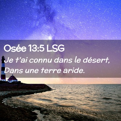 Picture 02 - Osée 13:5 LSG - Je t'ai connu dans le désert, Dans une terre - Bible Verse Picture