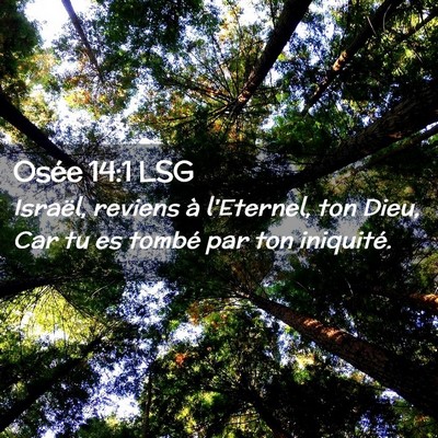 Picture 02 - Osée 14:1 LSG - Israël, reviens à l'Eternel, ton Dieu, Car tu - Bible Verse Picture